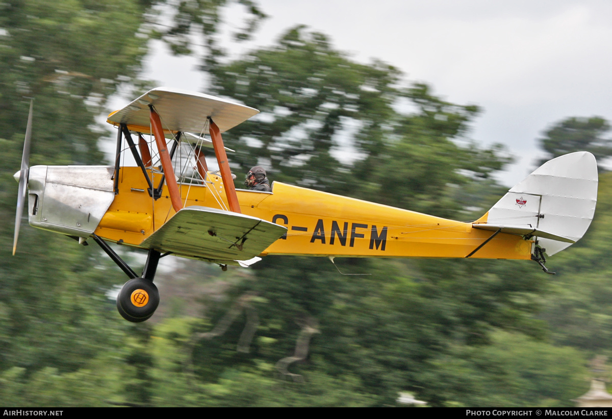 Aircraft Photo of G-ANFM | De Havilland D.H. 82A Tiger Moth II | AirHistory.net #130080