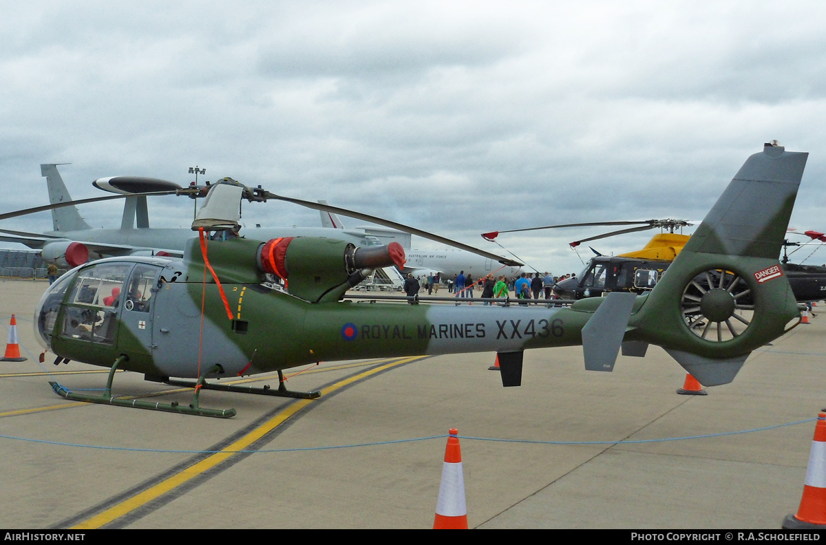 Aircraft Photo of G-ZZLE / XX436 | Aerospatiale SA-341C Gazelle HT2 | UK - Marines | AirHistory.net #130084