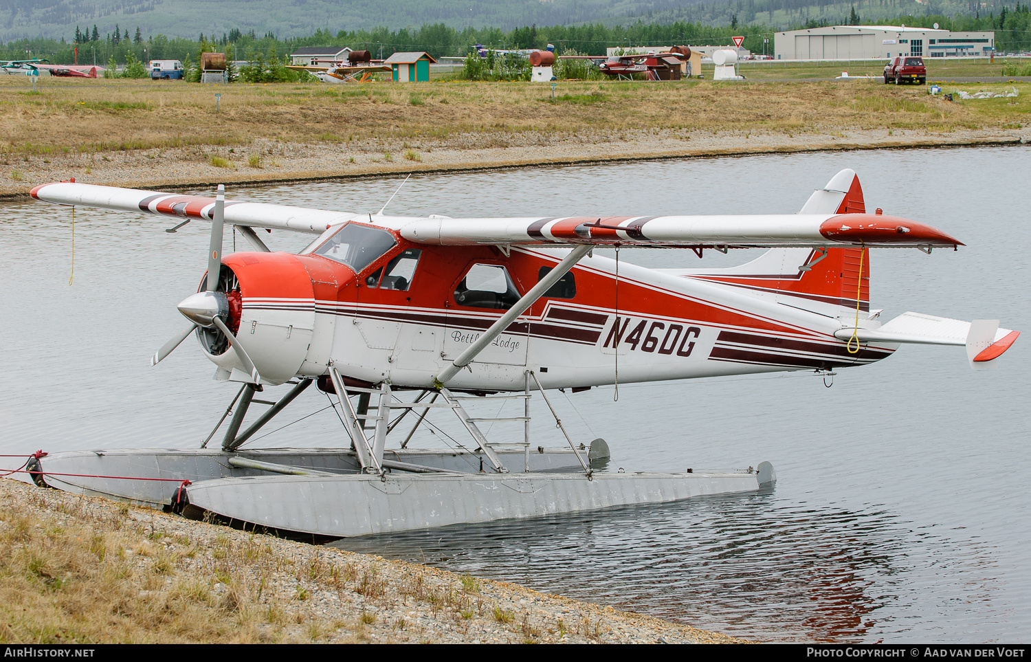 Aircraft Photo of N46DG | De Havilland Canada DHC-2 Beaver Mk.1 | Bettles Lodge | AirHistory.net #130857