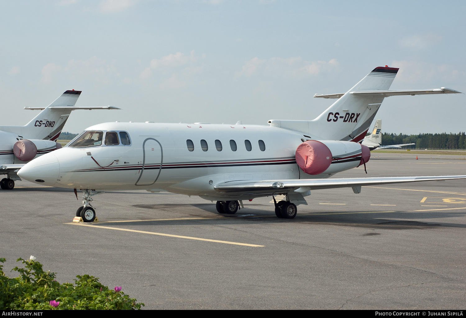 Aircraft Photo of CS-DRX | Raytheon Hawker 800XP | AirHistory.net #132835