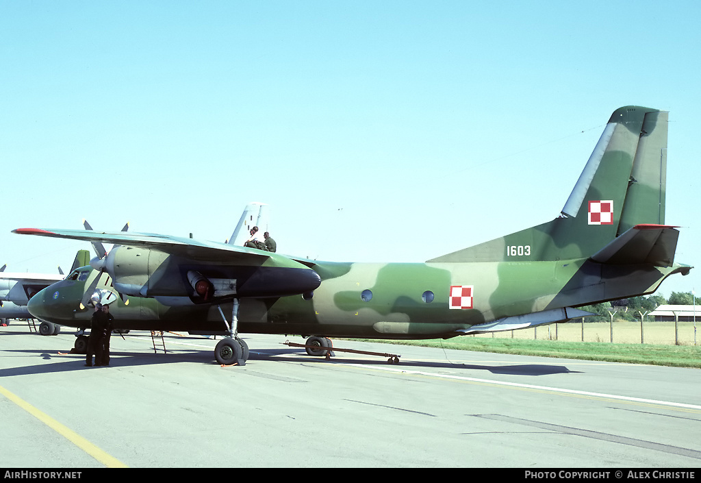 Aircraft Photo of 1603 | Antonov An-26 | Poland - Air Force | AirHistory.net #133160