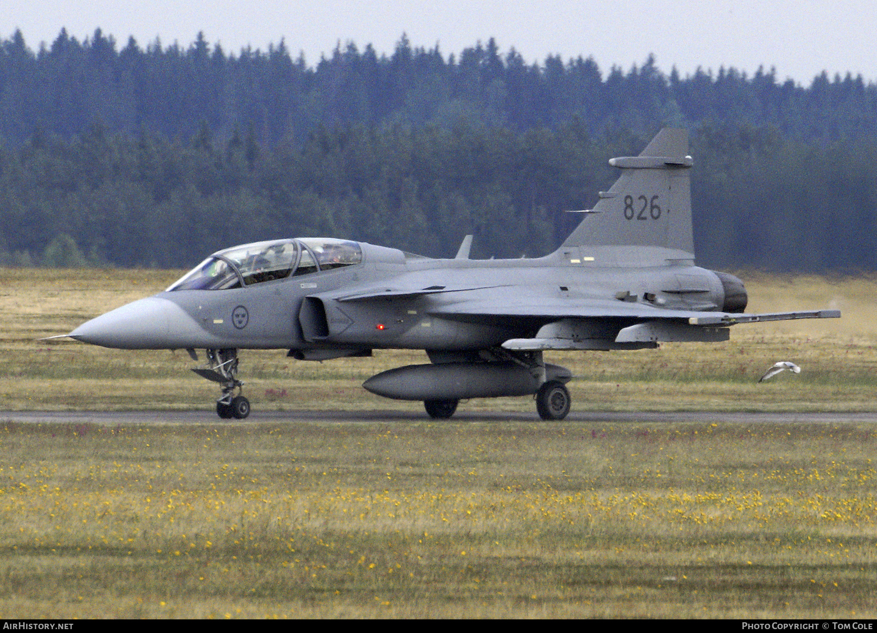 Aircraft Photo of 39826 / 826 | Saab JAS 39D Gripen | Sweden - Air Force | AirHistory.net #135844