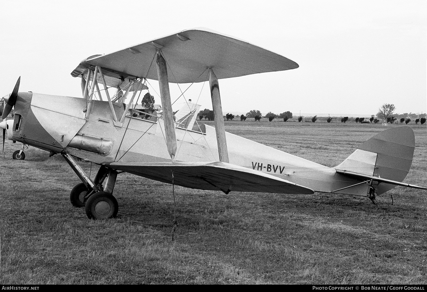 Aircraft Photo of VH-BVV | De Havilland D.H. 82A Tiger Moth | AirHistory.net #136399