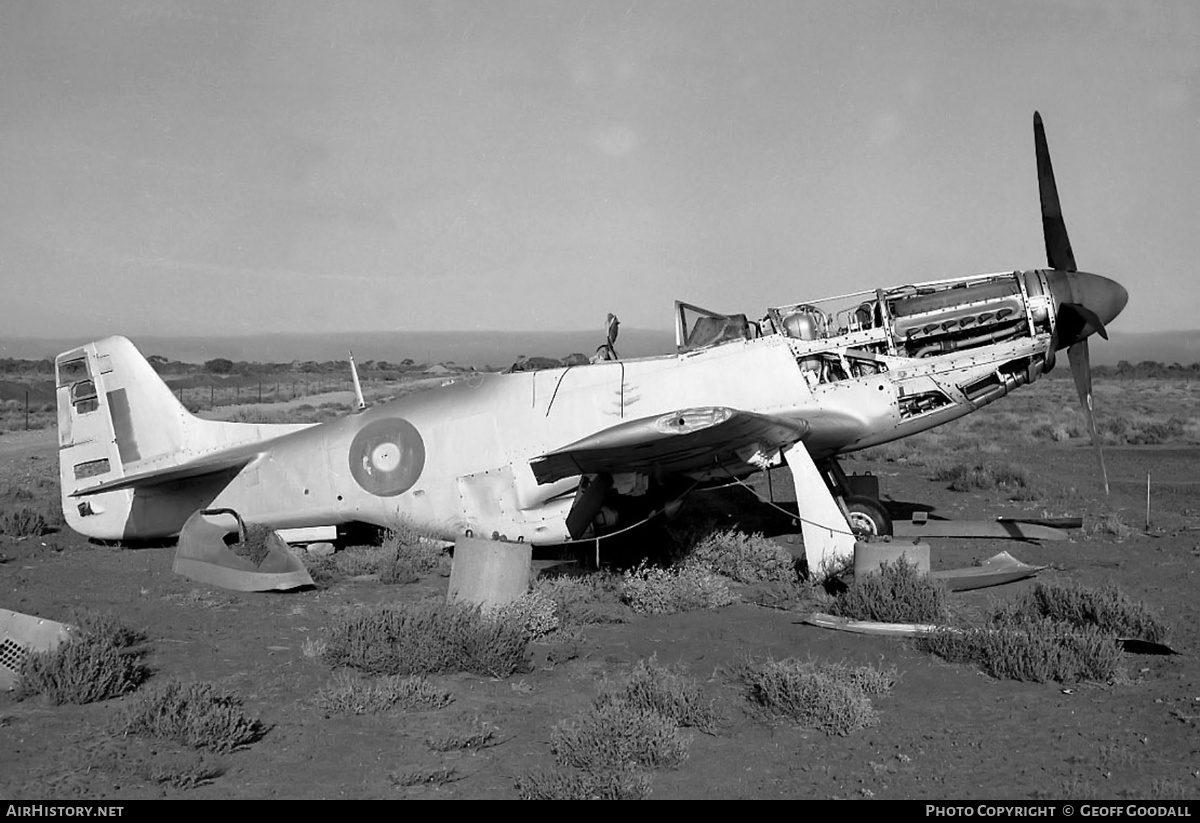 Aircraft Photo of A68-1 | Commonwealth CA-17 Mustang 20 (P-51D) | Australia - Air Force | AirHistory.net #136556