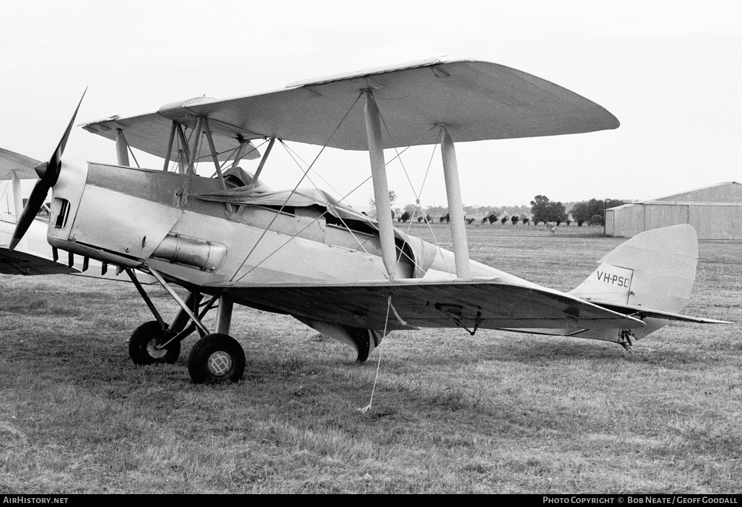 Aircraft Photo of VH-PSD | De Havilland D.H. 82A Tiger Moth | AirHistory.net #136832