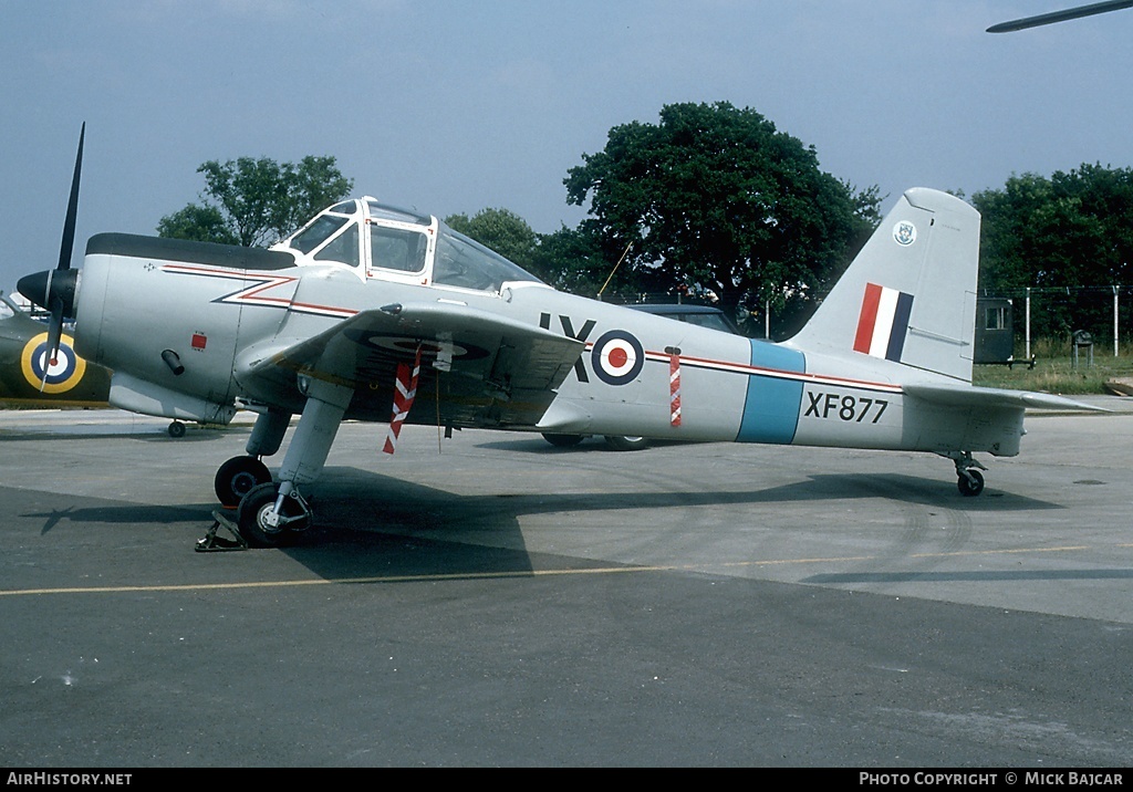 Aircraft Photo of G-AWVF / XF877 | Percival P.56 Provost T1 | UK - Air Force | AirHistory.net #137574