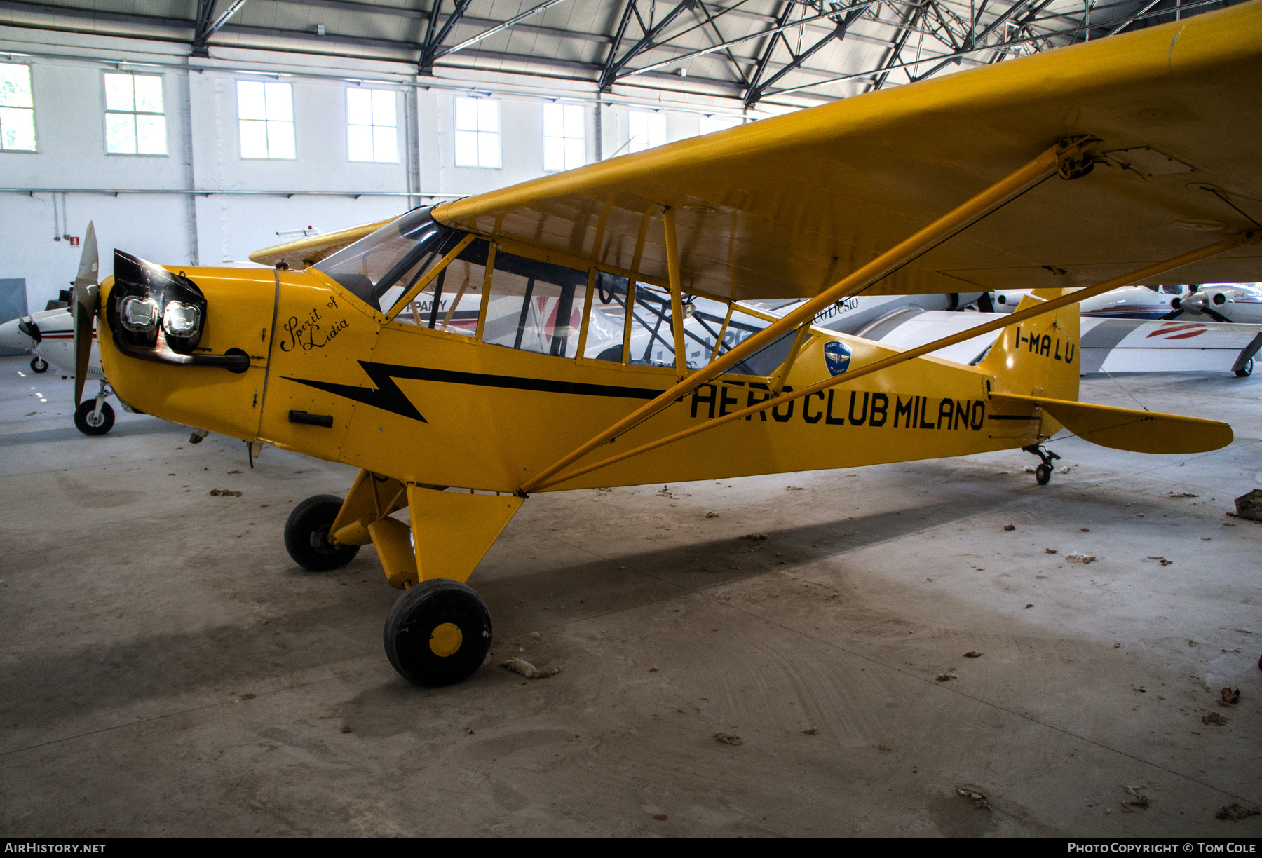 Aircraft Photo of I-MALU | Piper J-3C-65 Cub | AirHistory.net #137675