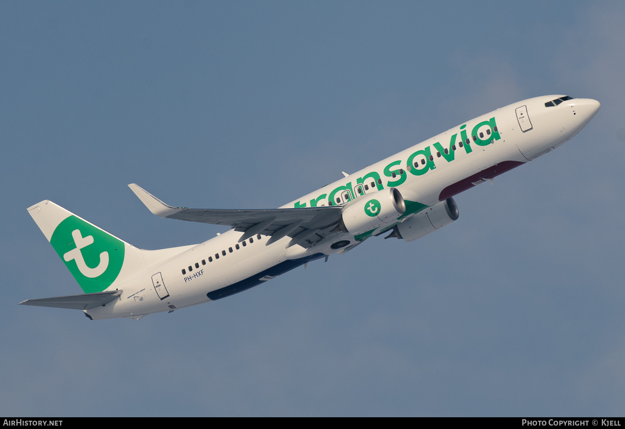 Aircraft Photo of PH-HXF | Boeing 737-800 | Transavia | AirHistory.net #137906