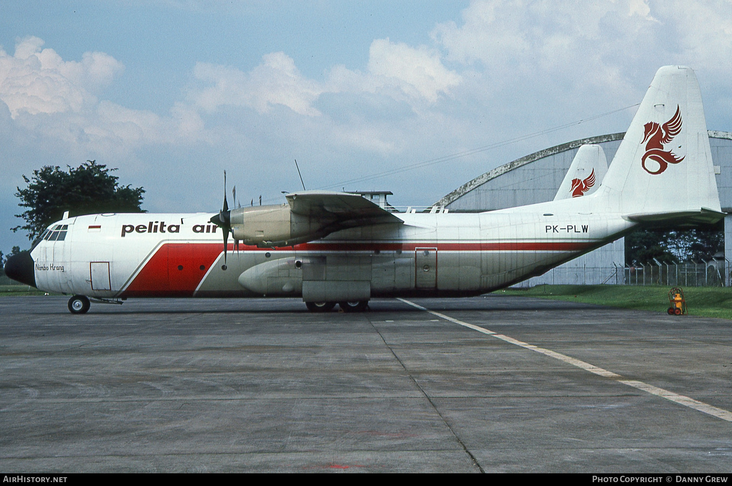 Aircraft Photo of PK-PLW | Lockheed L-100-30 Hercules (382G) | Pelita Air Service | AirHistory.net #138317