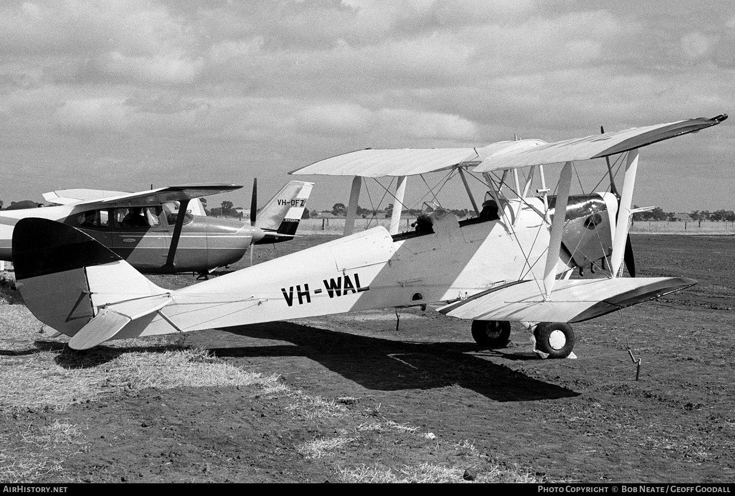 Aircraft Photo of VH-WAL | De Havilland D.H. 82A Tiger Moth | AirHistory.net #138415