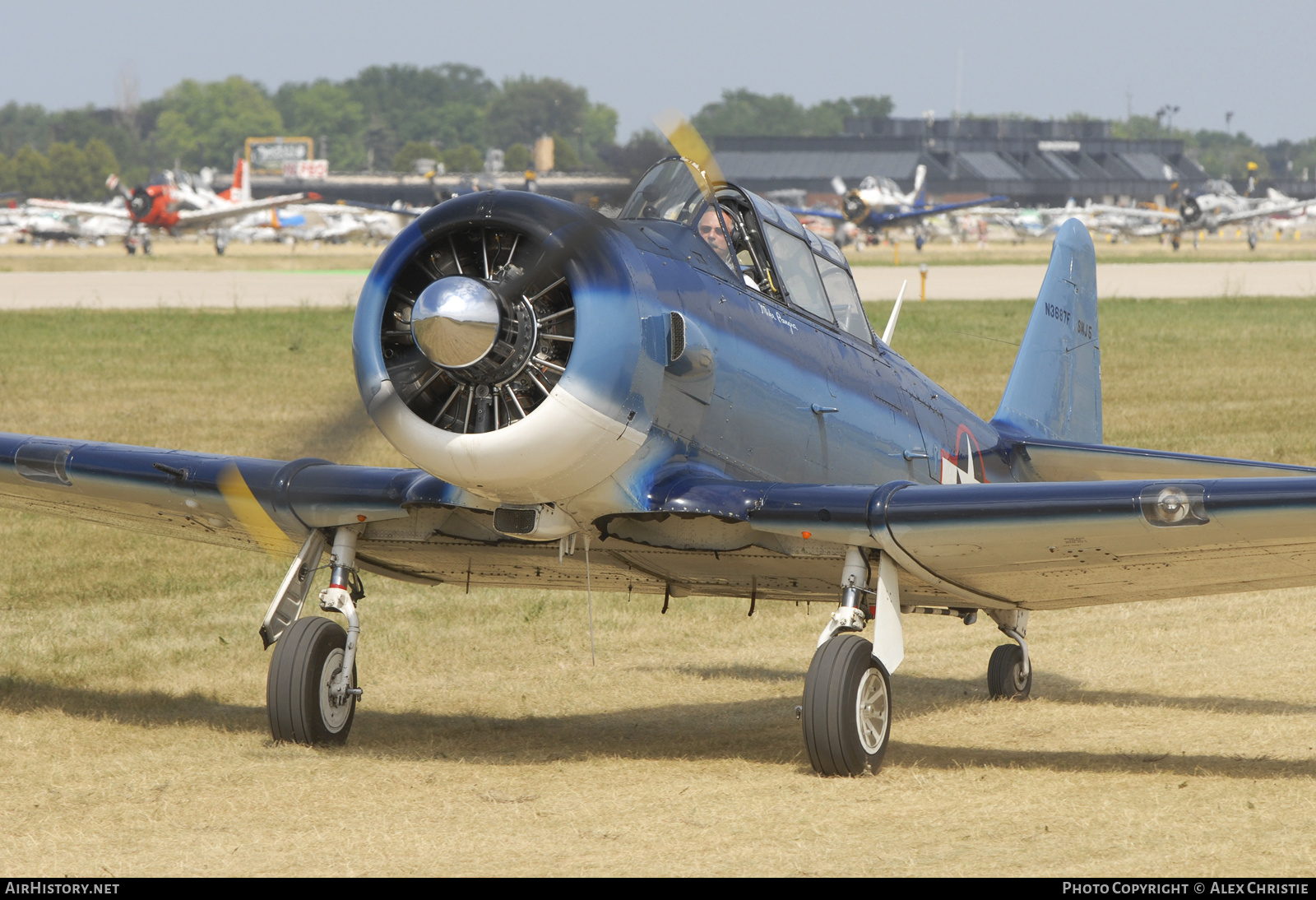 Aircraft Photo of N3687F | North American SNJ-5 Texan | USA - Navy | AirHistory.net #138732