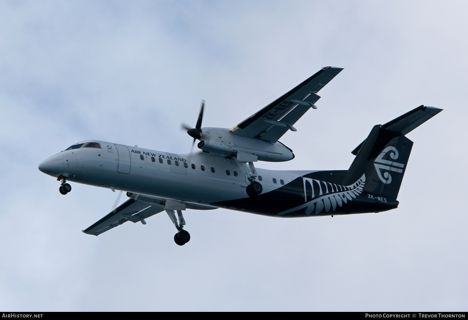 Aircraft Photo of ZK-NES | Bombardier DHC-8-311Q Dash 8 | Air New Zealand Link | AirHistory.net #140491