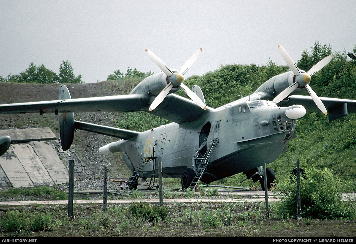 Aircraft Photo of 81 yellow | Beriev Be-12 Chaika | Russia - Navy | AirHistory.net #140882