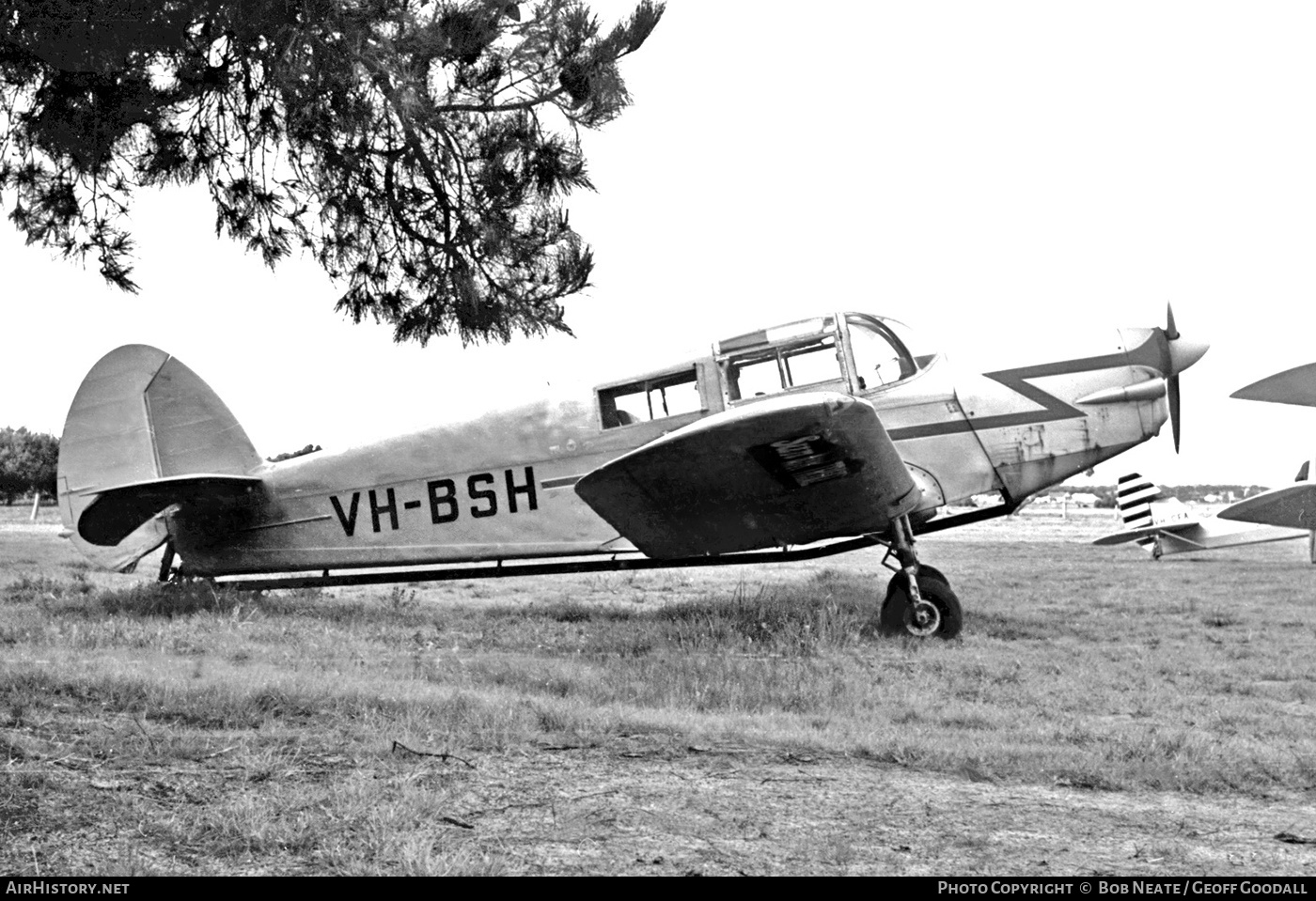 Aircraft Photo of VH-BSH | Percival P.44 Proctor 5 | AirHistory.net #141434