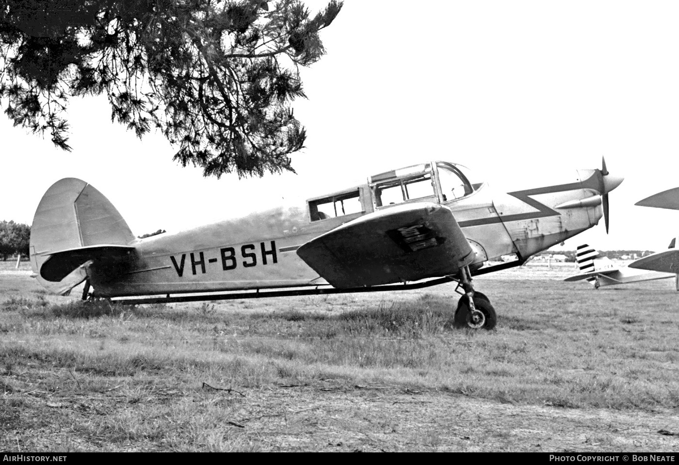 Aircraft Photo of VH-BSH | Percival P.44 Proctor 5 | AirHistory.net #141434