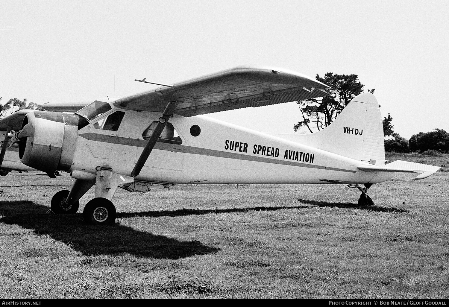Aircraft Photo of VH-IDJ | De Havilland Canada DHC-2 Beaver Mk1 | Super Spread Aviation | AirHistory.net #141663