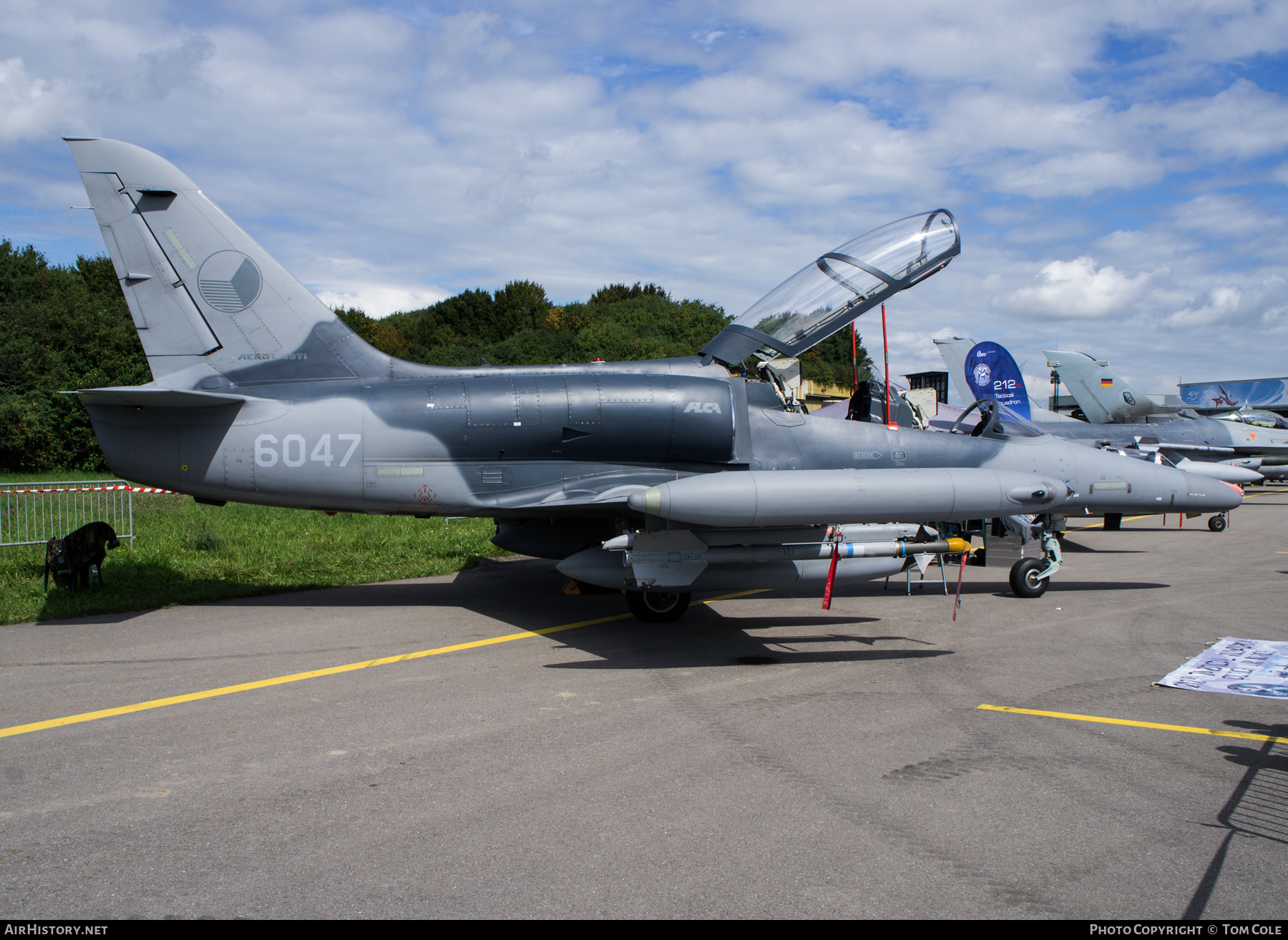 Aircraft Photo of 6047 | Aero L-159T1 ALCA | Czechia - Air Force | AirHistory.net #141850