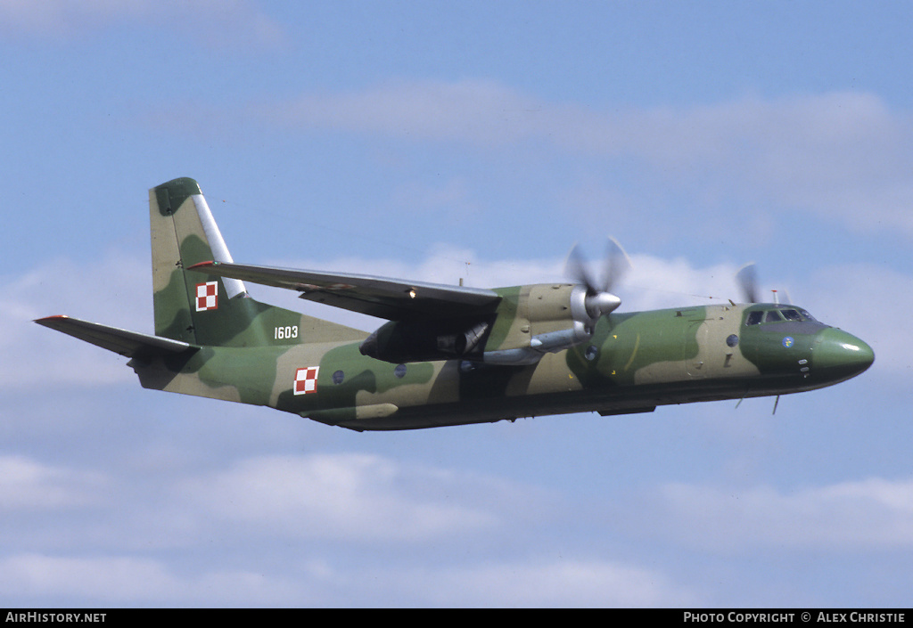 Aircraft Photo of 1603 | Antonov An-26 | Poland - Air Force | AirHistory.net #142041