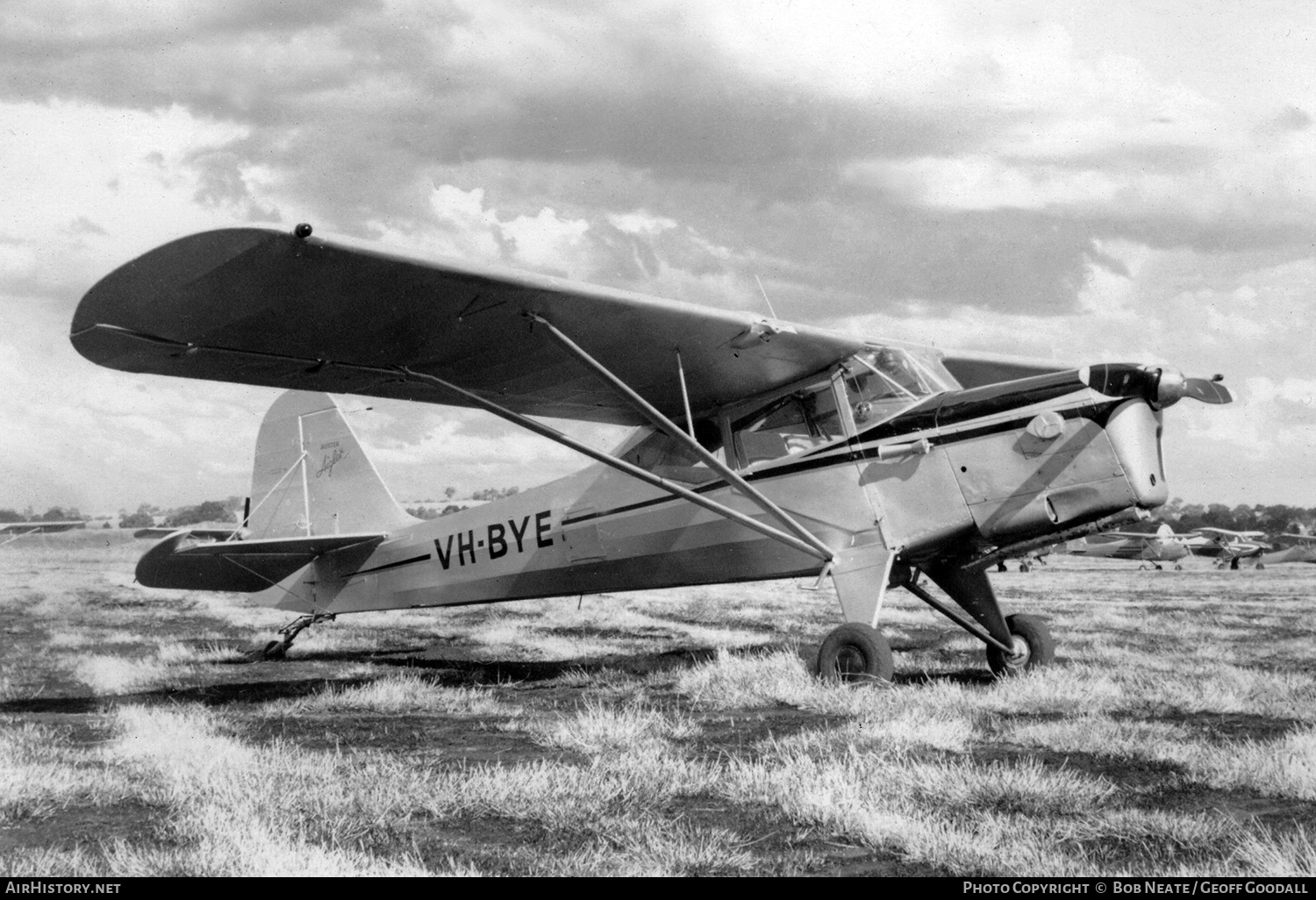 Aircraft Photo of VH-BYE | Auster J-5L Aiglet Trainer | AirHistory.net #144930