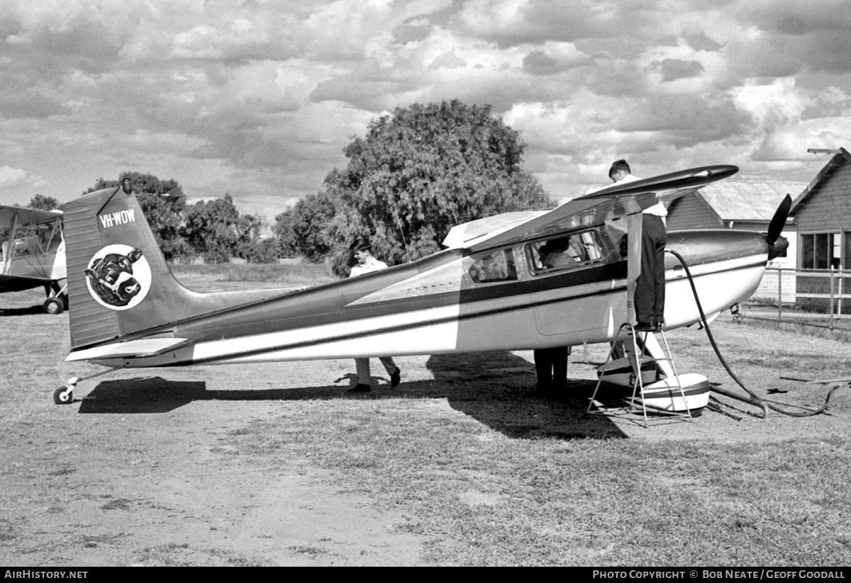 Aircraft Photo of VH-WOW | Cessna 180D | AirHistory.net #144935