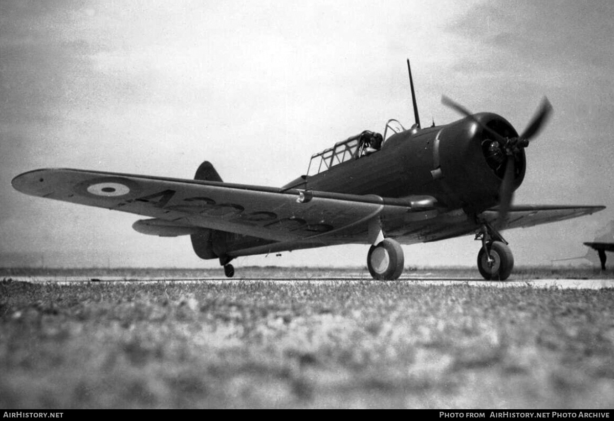Aircraft Photo of A20-202 | Commonwealth CA-7 Wirraway | Australia - Air Force | AirHistory.net #148353
