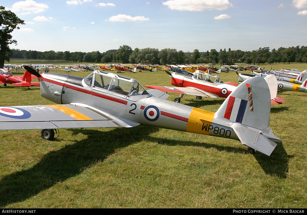 Aircraft Photo of G-BCXN / WP800 | De Havilland Canada DHC-1 Chipmunk Mk22 | UK - Air Force | AirHistory.net #149077