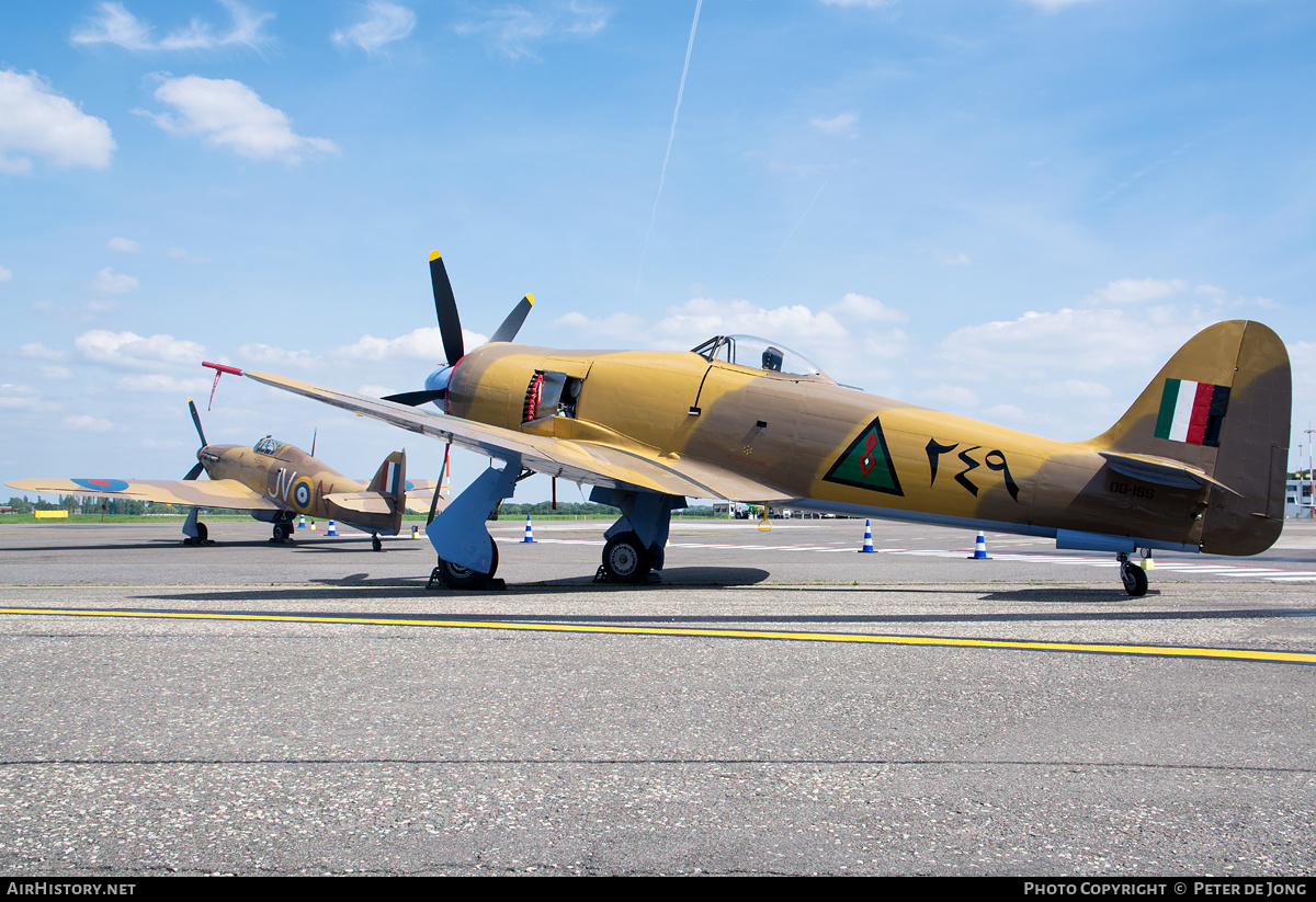 Aircraft Photo of OO-ISS / 249 | Hawker Fury FB10 | Iraq - Air Force | AirHistory.net #149979