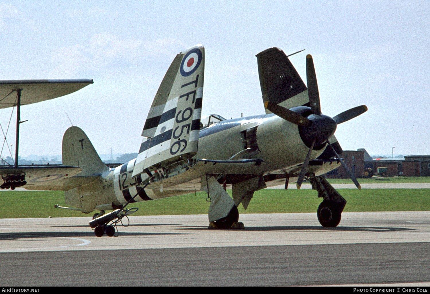 Aircraft Photo of TF956 | Hawker Sea Fury FB11 | UK - Navy | AirHistory.net #150317