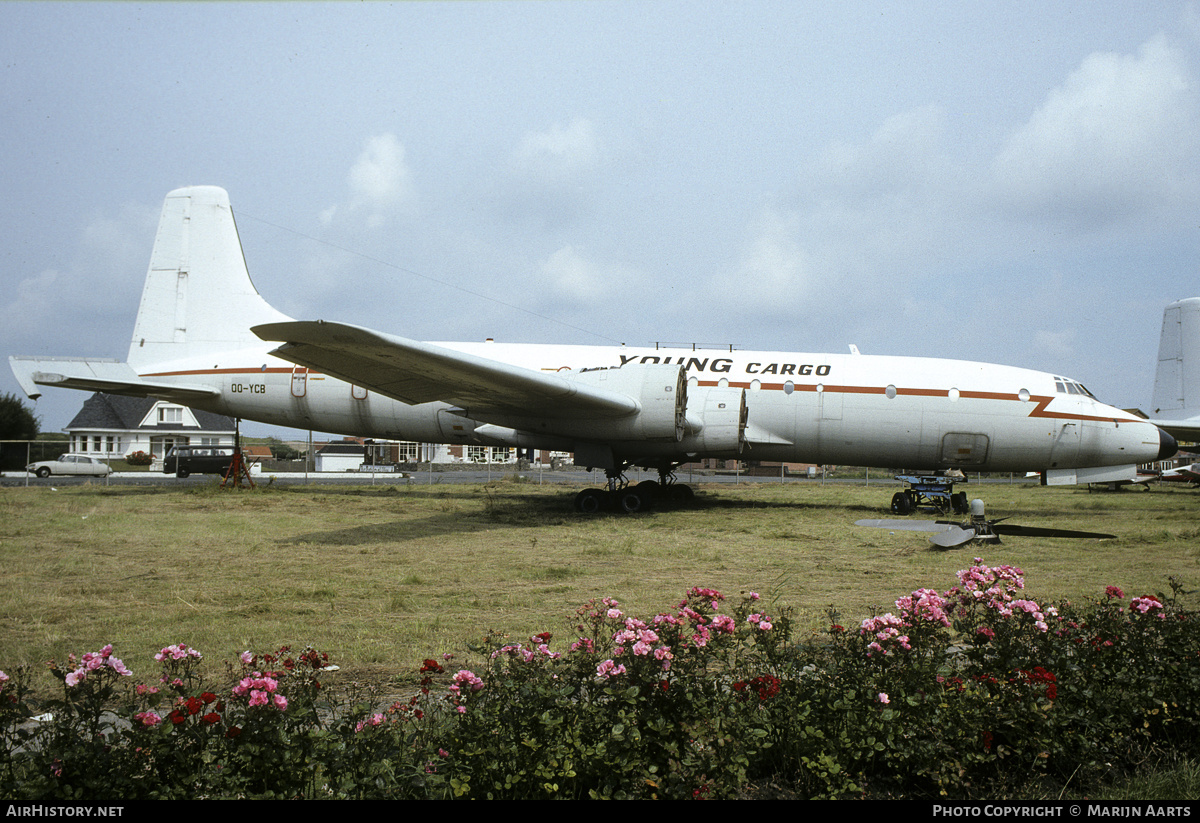 Aircraft Photo of OO-YCB | Bristol 175 Britannia 253F | Young Cargo | AirHistory.net #150805