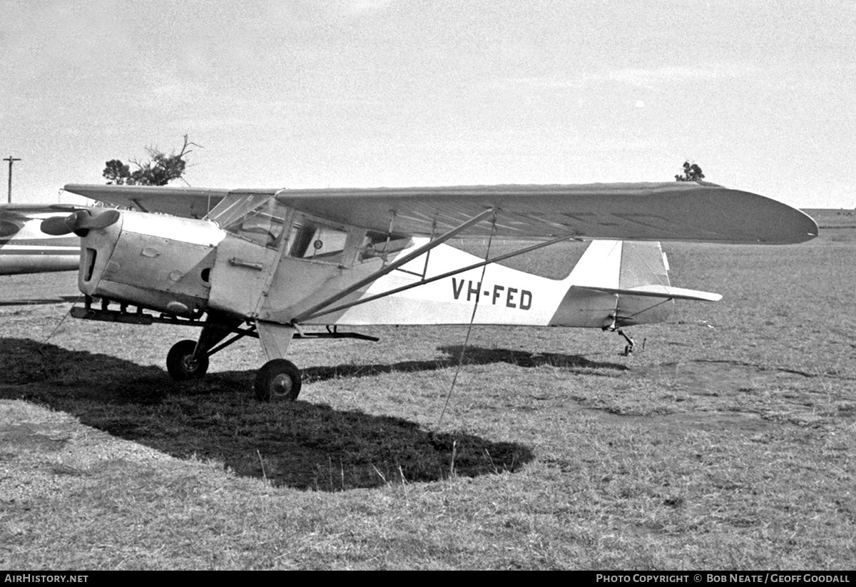 Aircraft Photo of VH-FED | Taylorcraft E Auster Mk3 | AirHistory.net #151898