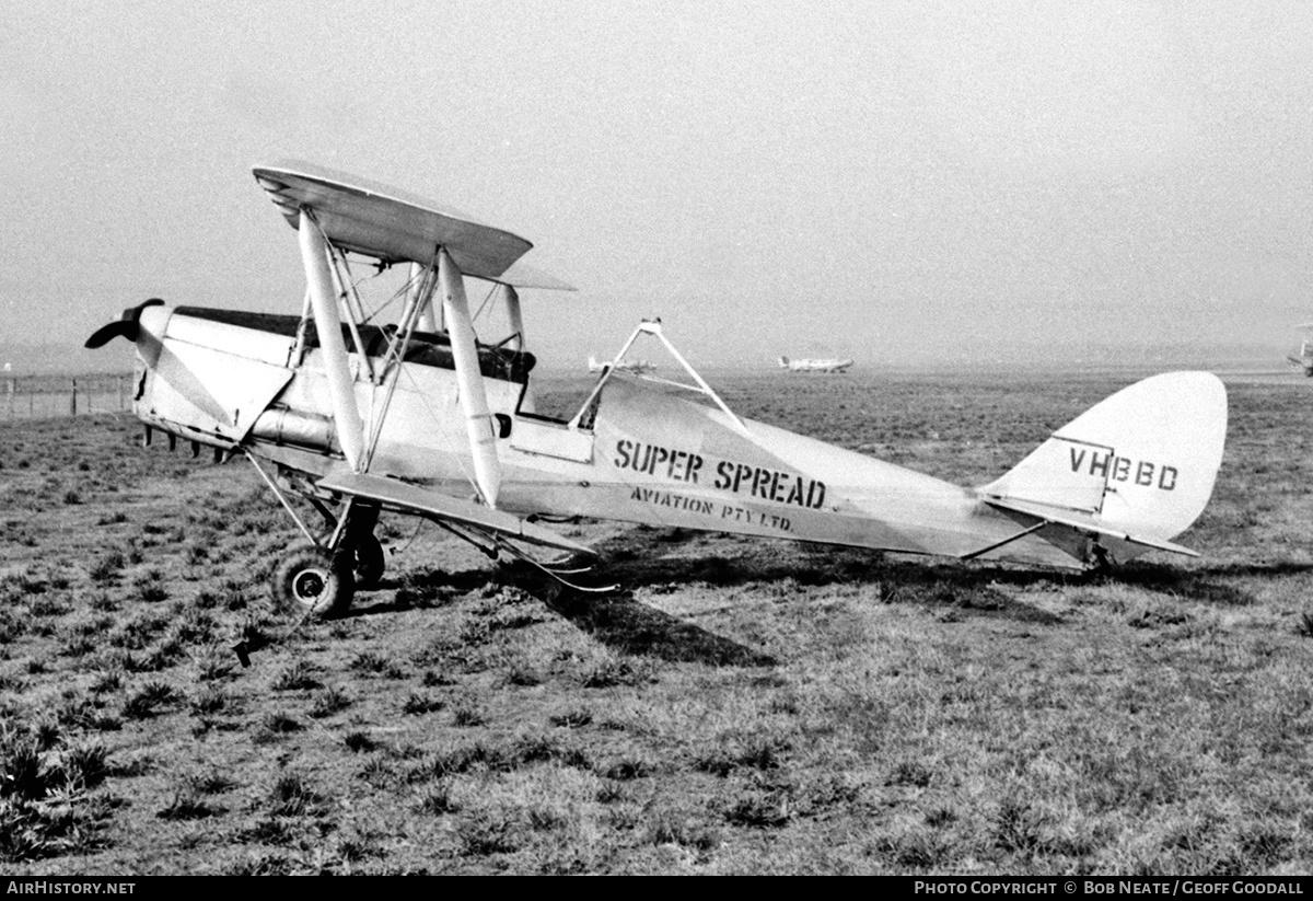 Aircraft Photo of VH-BBD | De Havilland D.H. 82A Tiger Moth | Super Spread Aviation | AirHistory.net #153251