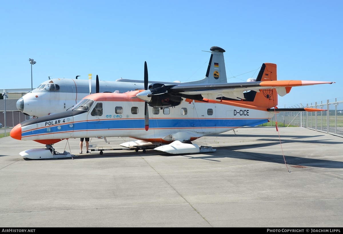 Aircraft Photo of D-CICE | Dornier 228-101 | Alfred Wegener Institute - AWI | AirHistory.net #156061