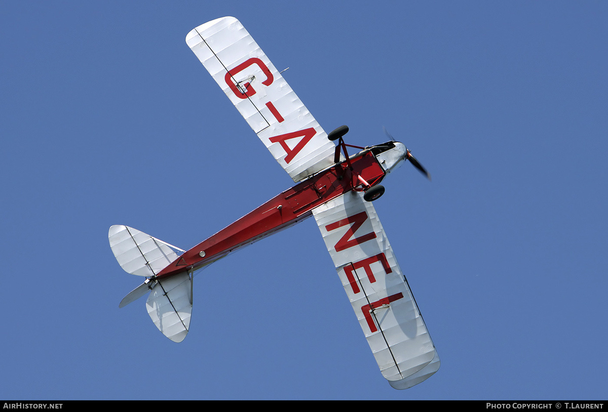 Aircraft Photo of G-ANEL | De Havilland D.H. 82A Tiger Moth II | AirHistory.net #156469