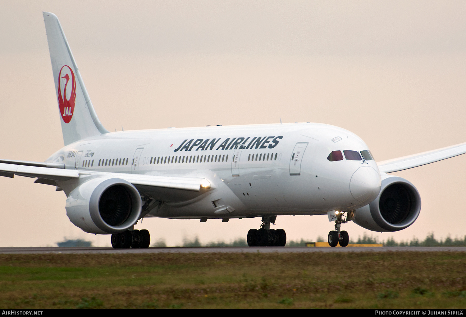 Aircraft Photo of JA834J | Boeing 787-8 Dreamliner | Japan Airlines - JAL | AirHistory.net #163078