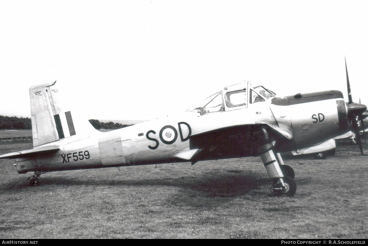 Aircraft Photo of XF559 | Percival P.56 Provost T1 | UK - Air Force | AirHistory.net #165244