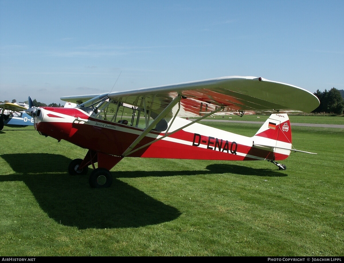Aircraft Photo of D-ENAQ | Piper PA-18-95 Super Cub | AirHistory.net #167826