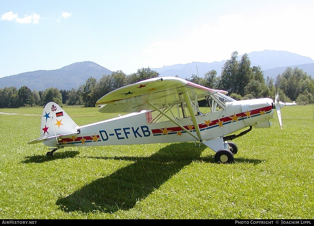 Aircraft Photo of D-EFKB | Piper PA-18-150 Super Cub | AirHistory.net #167882