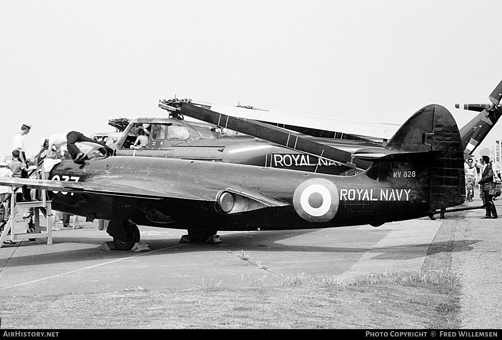 Aircraft Photo of WV828 | Hawker Sea Hawk FGA6 | UK - Navy | AirHistory.net #172651