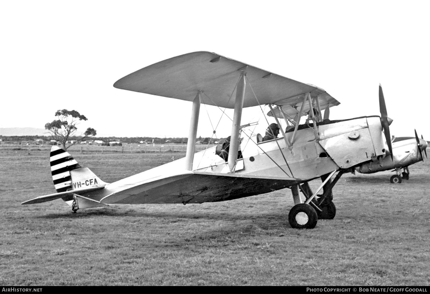 Aircraft Photo of VH-CFA | De Havilland D.H. 82A Tiger Moth | AirHistory.net #172702