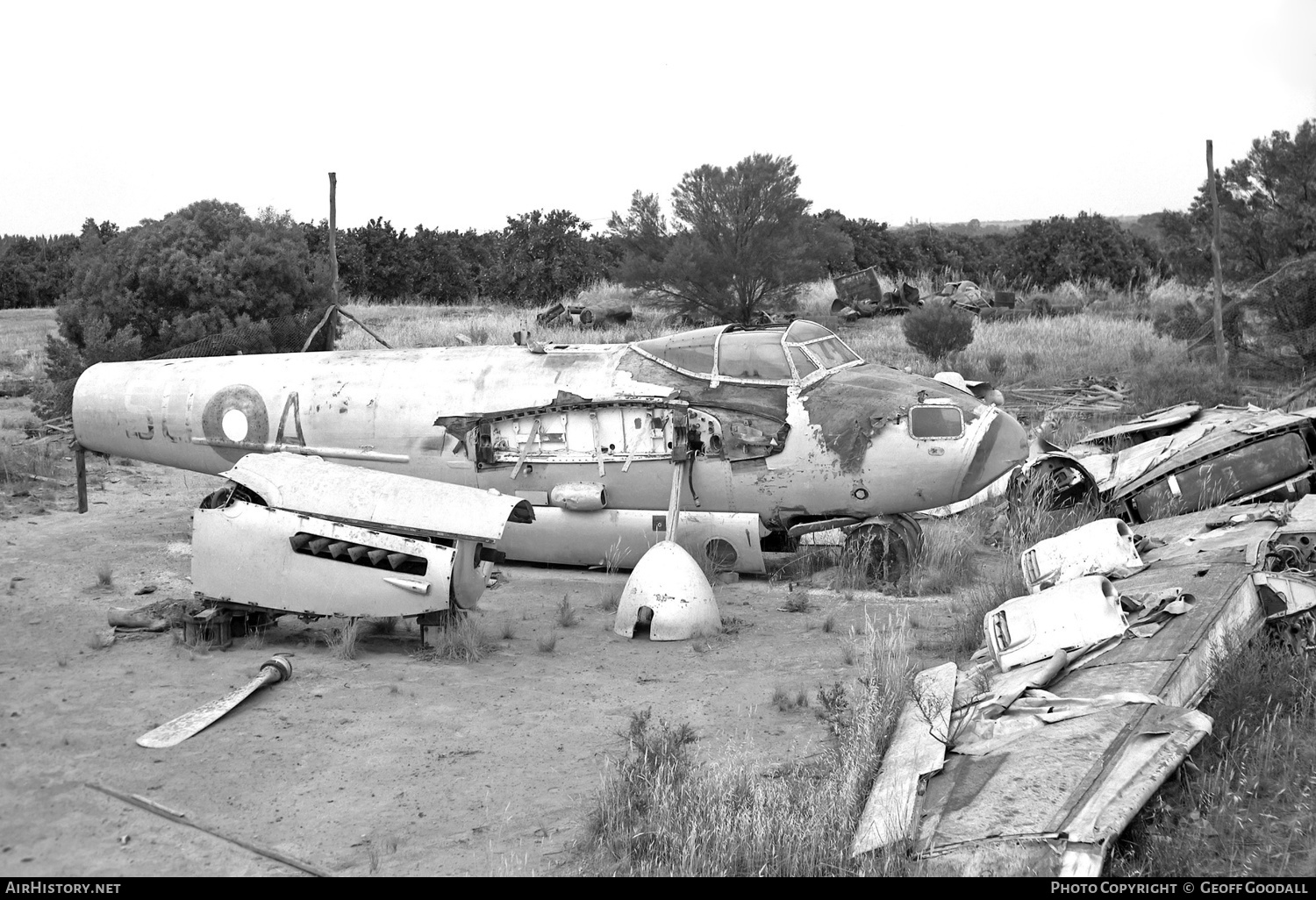 Aircraft Photo of A52-600 | De Havilland D.H. 98 Mosquito PR16 | Australia - Air Force | AirHistory.net #172709