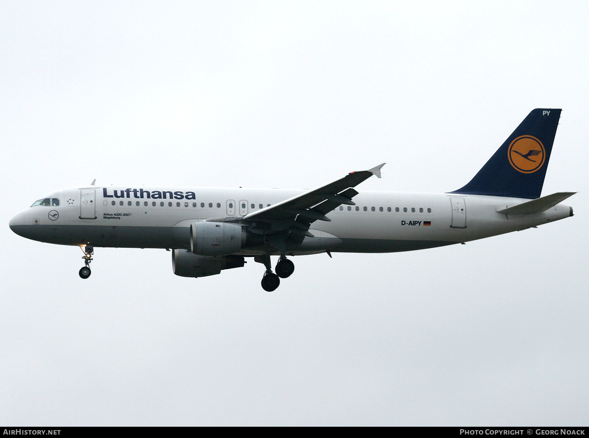 Aircraft Photo of D-AIPY | Airbus A320-211 | Lufthansa | AirHistory.net #175794
