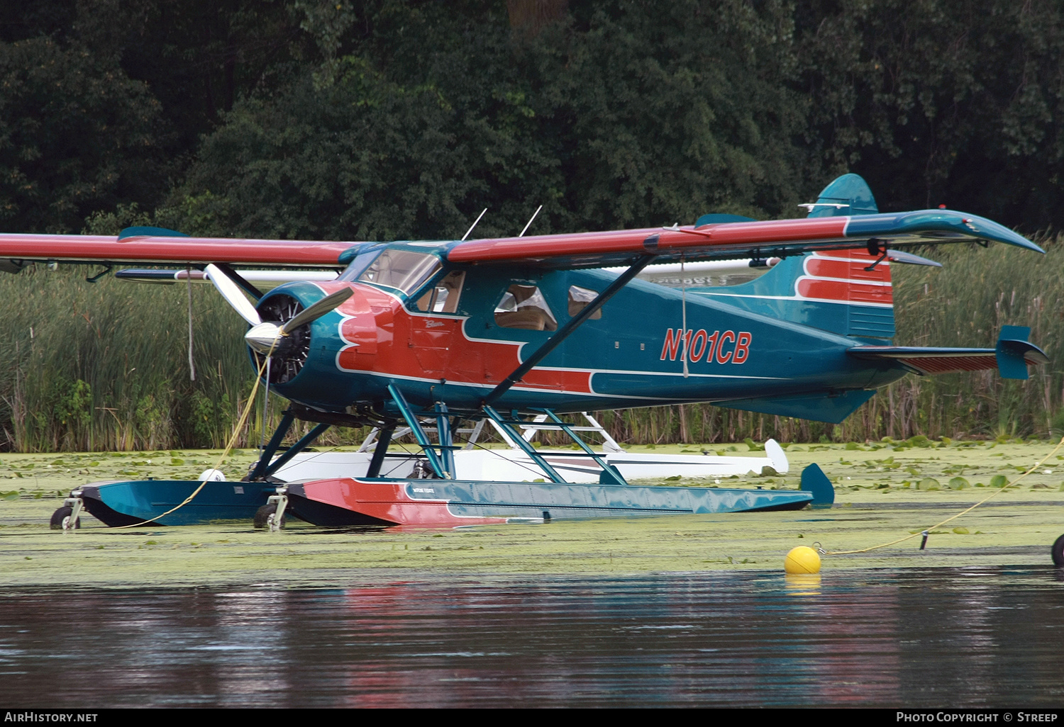 Aircraft Photo of N101CB | De Havilland Canada U-6A Beaver | AirHistory.net #176819