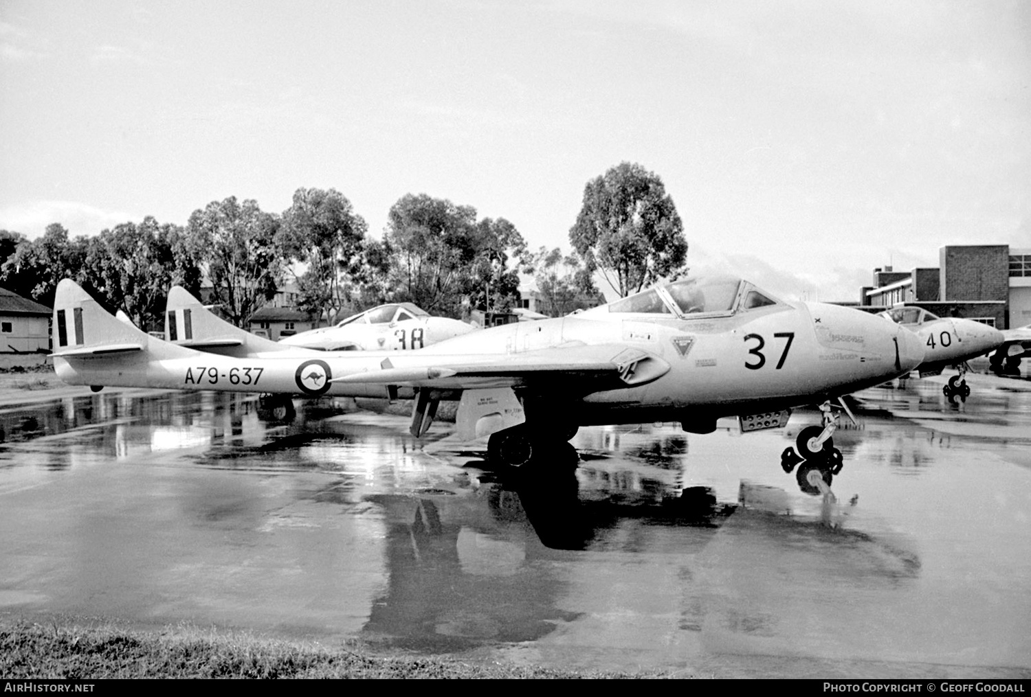 Aircraft Photo of A79-637 | De Havilland D.H. 115 Vampire T35 | Australia - Air Force | AirHistory.net #176963