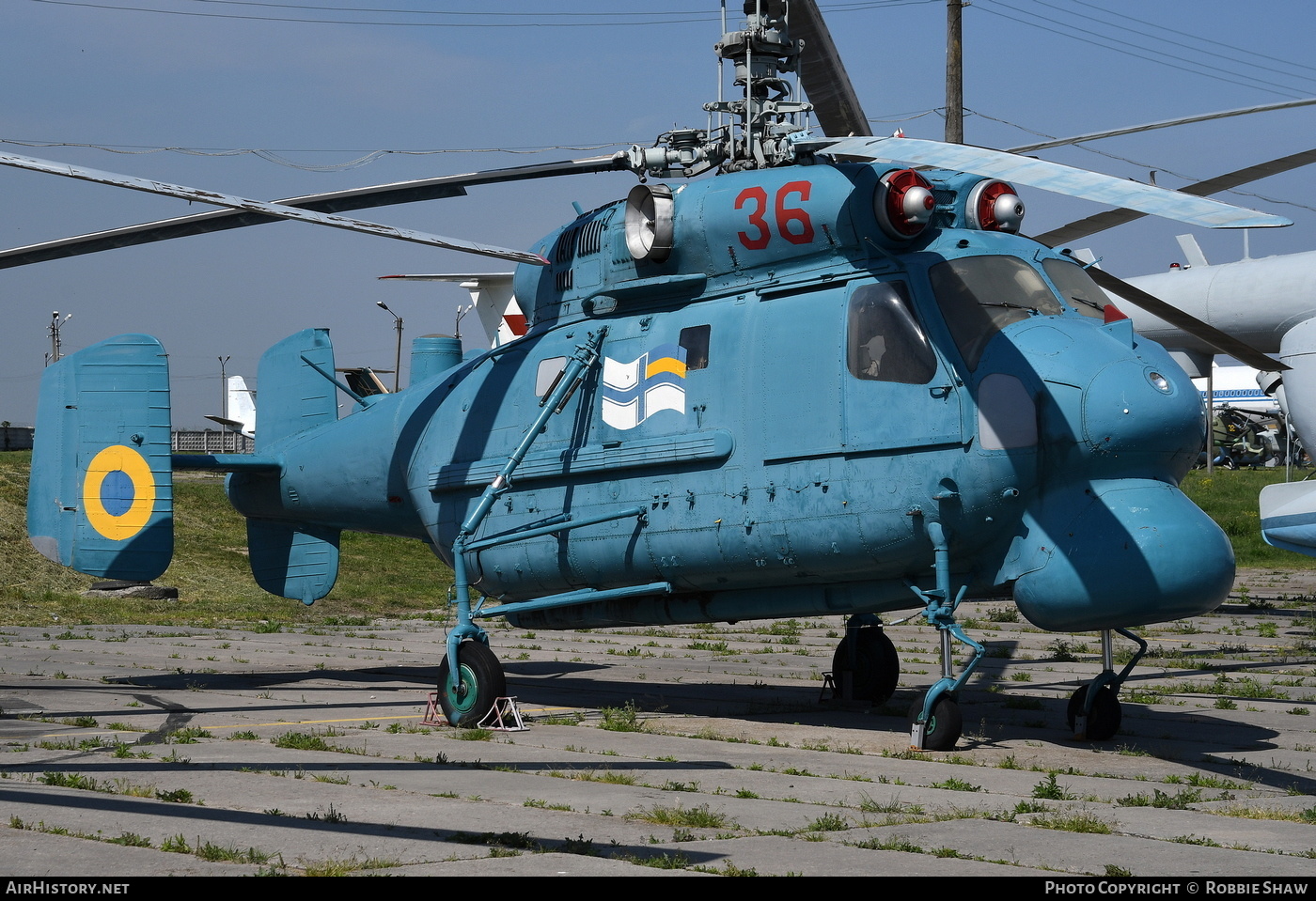 Aircraft Photo of 36 red | Kamov Ka-25PL | Ukraine - Navy | AirHistory.net #177279