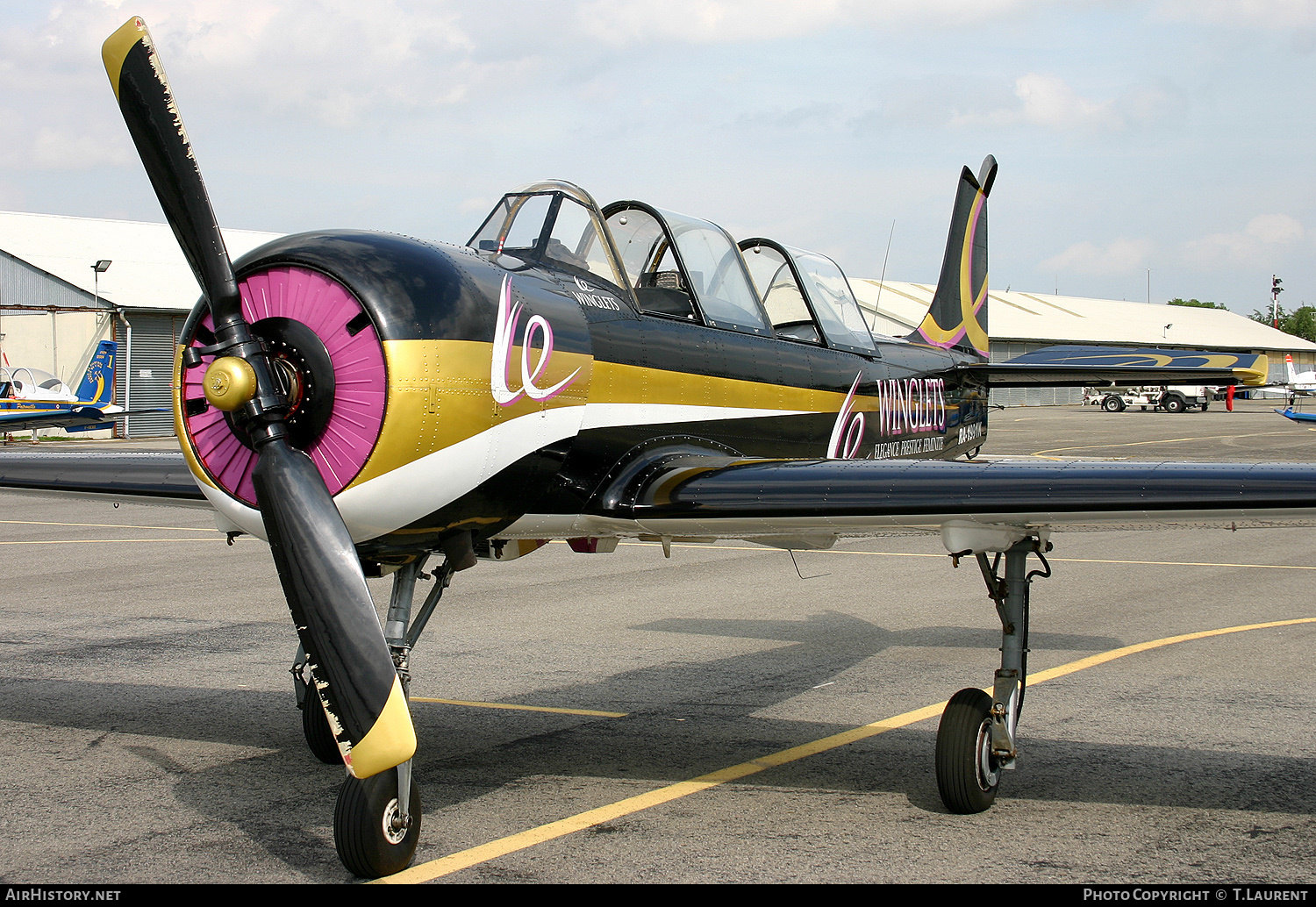 Aircraft Photo of RA-1991K | Yakovlev Yak-52W | Le Winglets | AirHistory.net #177663