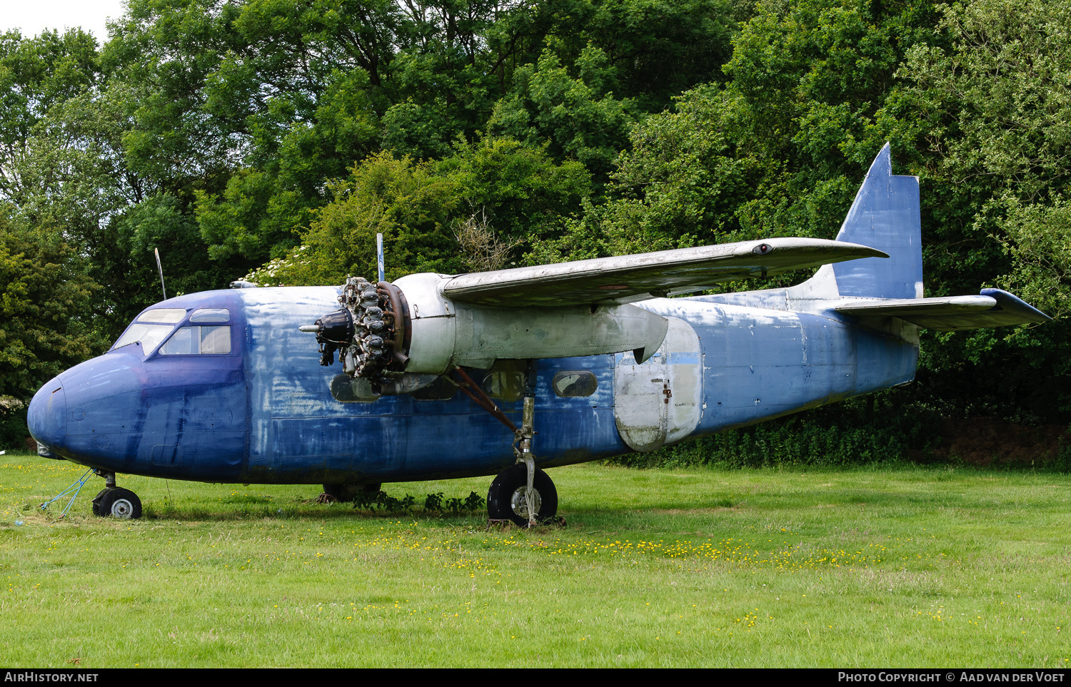 Aircraft Photo of WF137 | Percival P.57 Sea Prince C.1 | AirHistory.net #179329