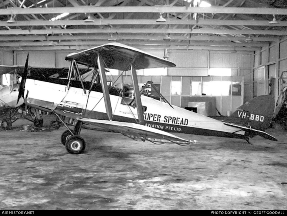 Aircraft Photo of VH-BBD | De Havilland D.H. 82A Tiger Moth | Super Spread Aviation | AirHistory.net #179352