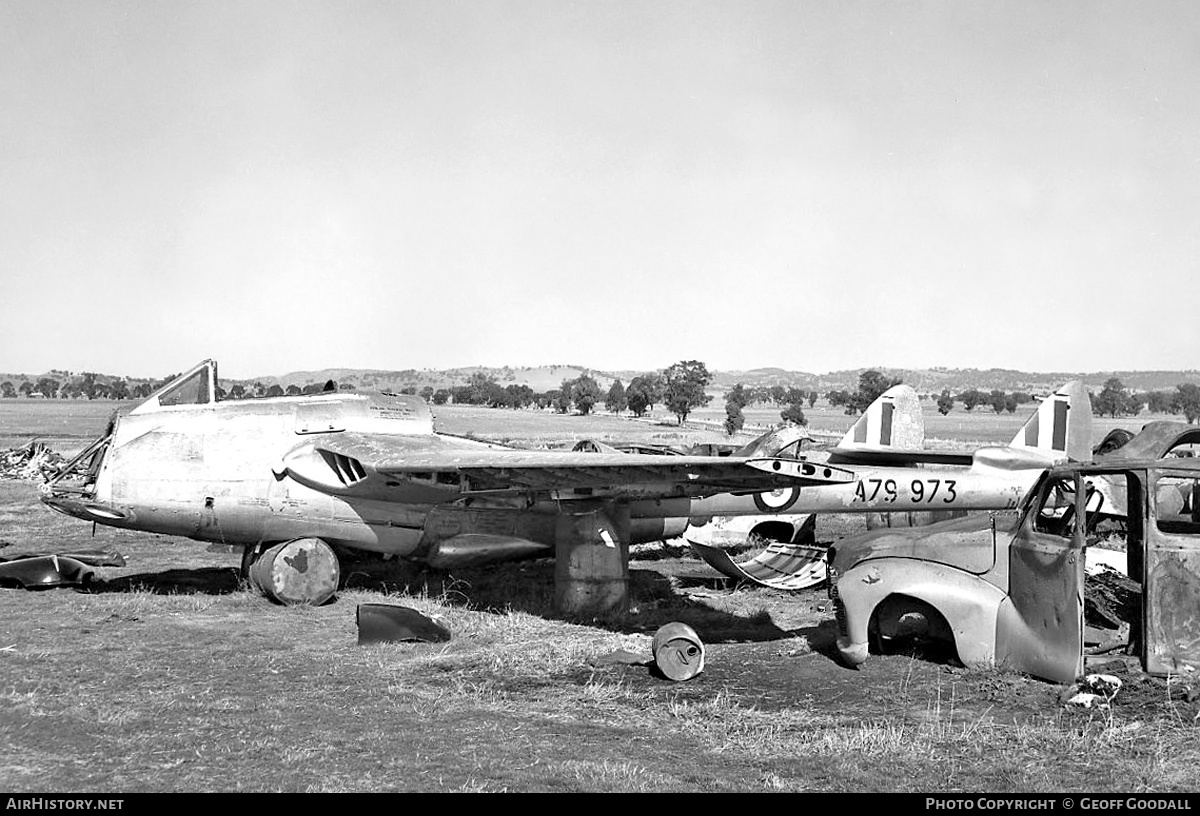 Aircraft Photo of A79-973 | De Havilland D.H. 100 Vampire F30 | Australia - Air Force | AirHistory.net #180996