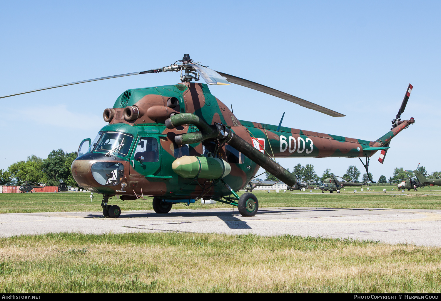 Aircraft Photo of 6003 | Mil Mi-2Ch | Poland - Army | AirHistory.net #182206