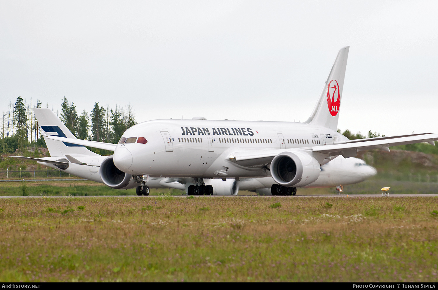 Aircraft Photo of JA839J | Boeing 787-8 Dreamliner | Japan Airlines - JAL | AirHistory.net #182585